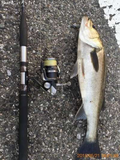 �����Х�