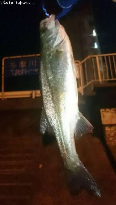 �����Х�