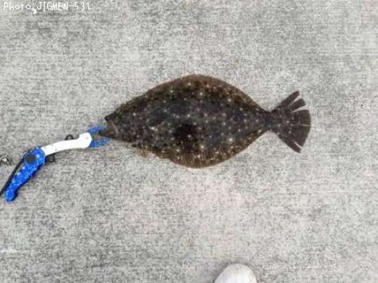 �ҥ��
