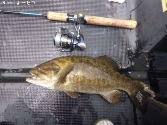 �������Х�