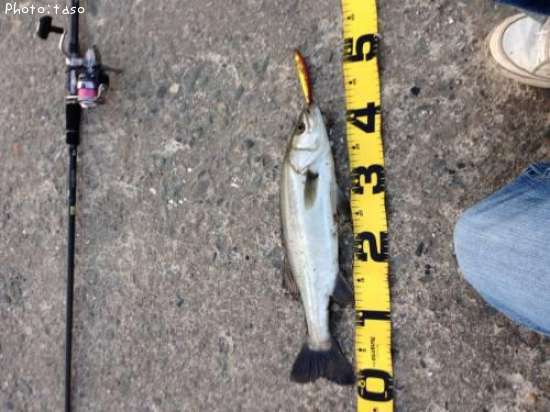 �����Х�