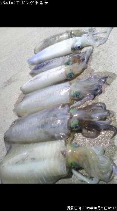 �����ꥤ��