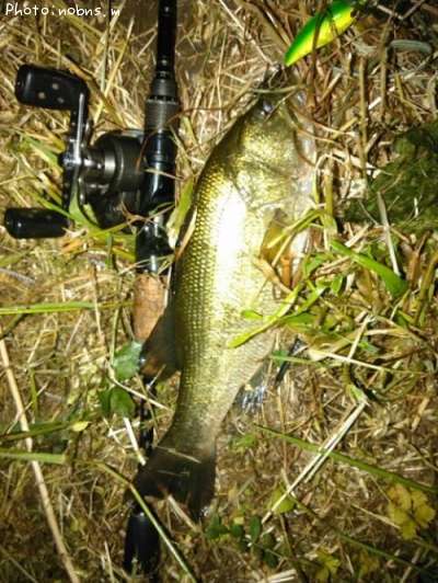 �֥�å��Х�