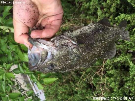 �֥�å��Х�