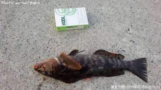 �����ʥ�