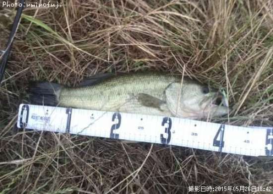 �֥�å��Х�