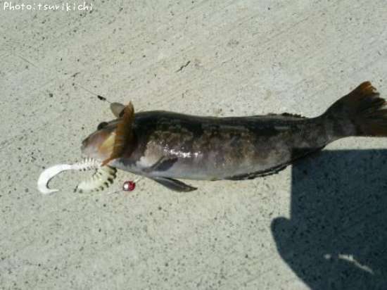 �����ʥ�