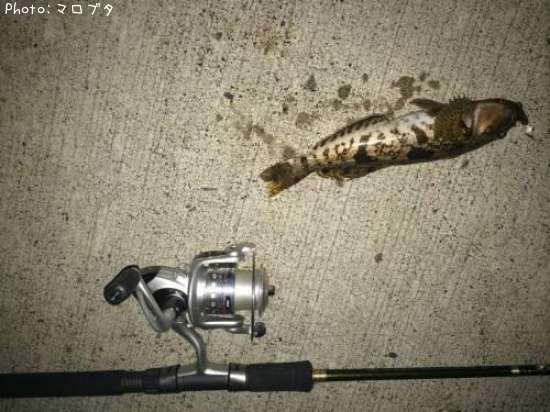 �����ʥ�