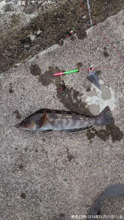 �����ʥ�