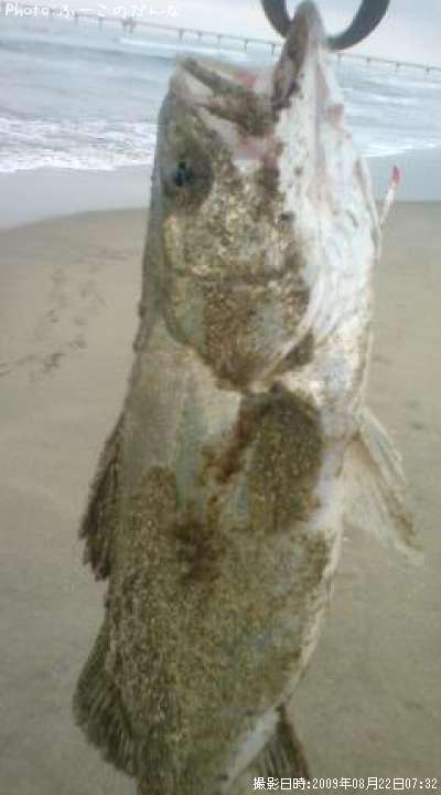 �����Х�