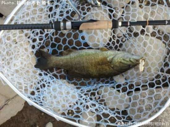 ���⡼��ޥ���