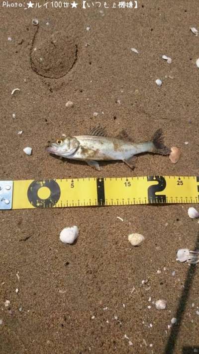 �����Х�