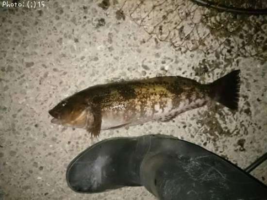 �����ʥᡢ����¾