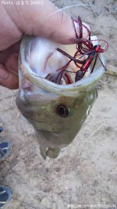 �֥�å��Х�