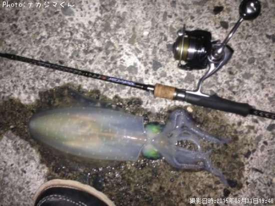 �����ꥤ��