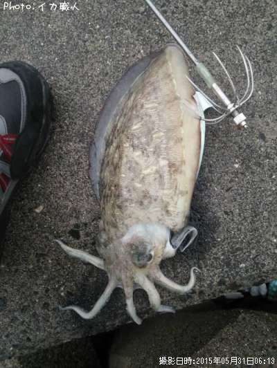 ��󥴥�����