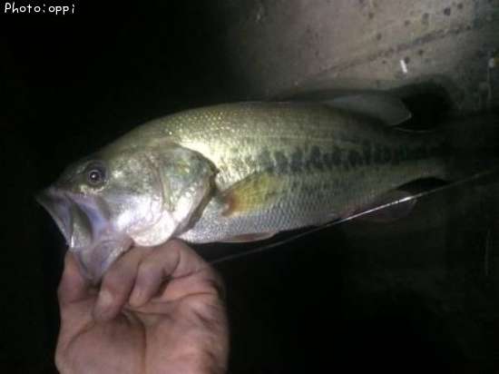 �֥�å��Х�