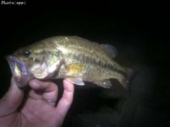 �֥�å��Х�