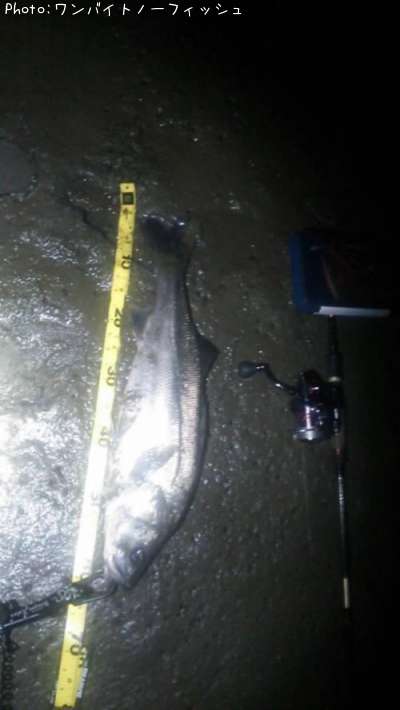 �����Х�