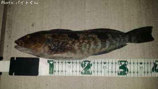 �����ʥ�