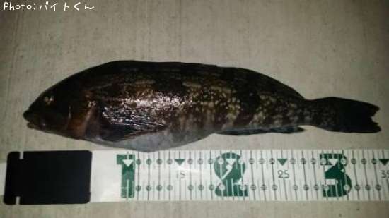 �����ʥ�