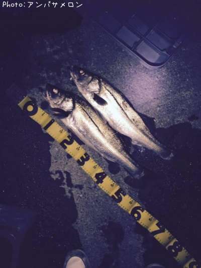 �����Х�