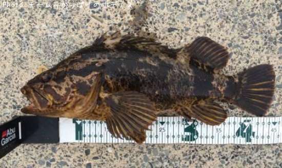 �����Υ���Х�