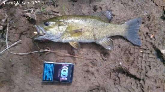 �֥�å��Х�