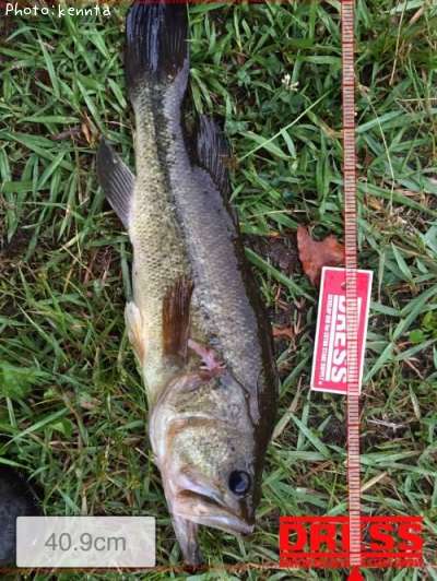 �֥�å��Х�