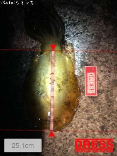 �����ꥤ��