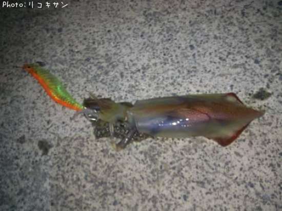 ���󥵥�����