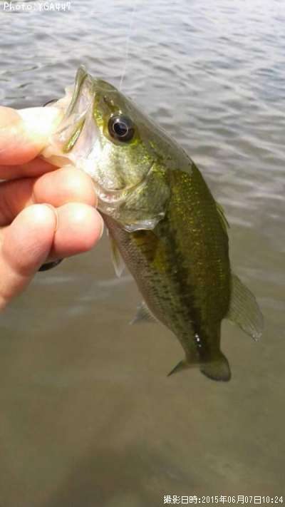 �֥�å��Х�