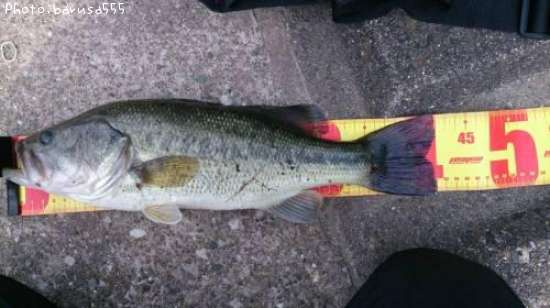 �֥�å��Х�