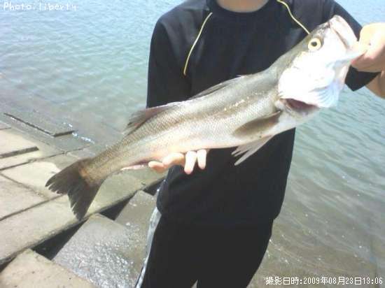 �����Х�