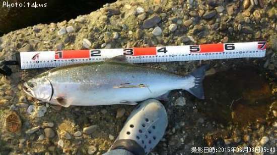 ������ޥ�