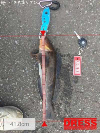 �����ʥ�