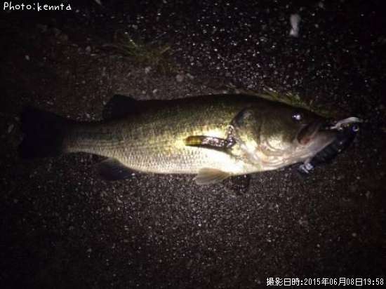 �֥�å��Х�