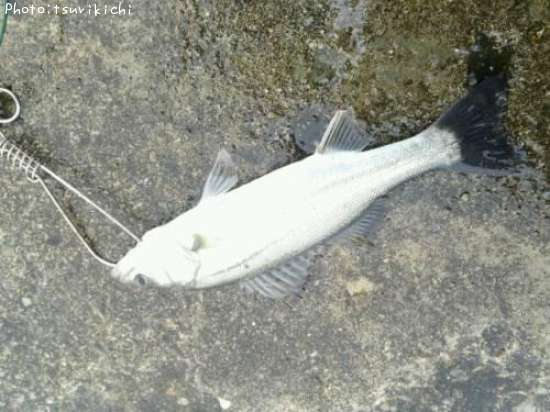 �����Х�