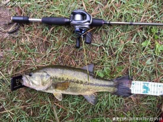 �֥�å��Х�