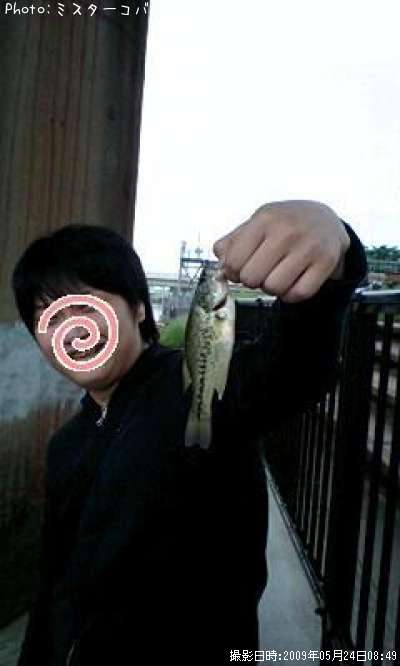 �֥�å��Х�