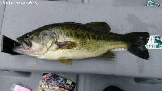 �֥�å��Х�