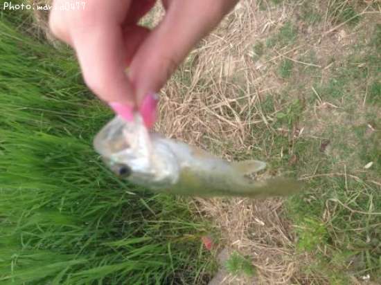 �֥�å��Х�