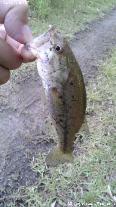 �֥�å��Х�