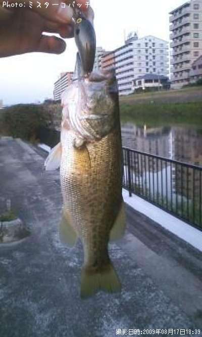 �֥�å��Х�