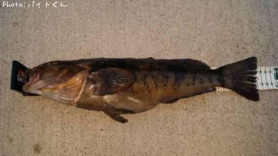 �����ʥ�