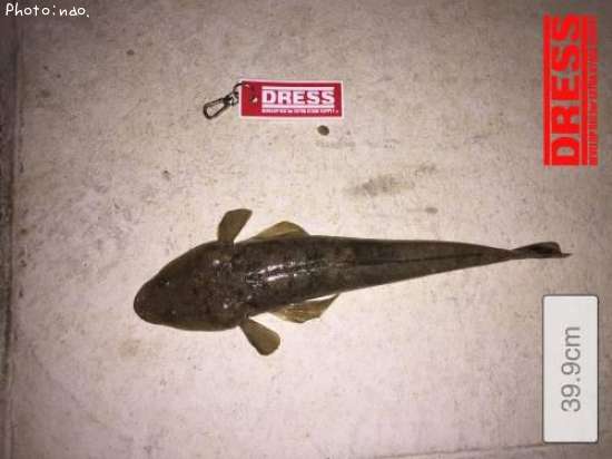 �ޥ���