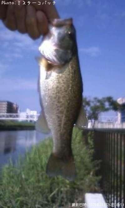 �֥�å��Х�