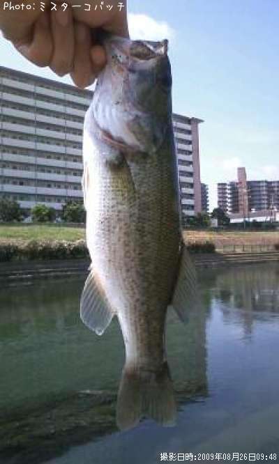 �֥�å��Х�