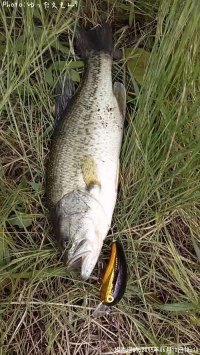 �֥�å��Х�