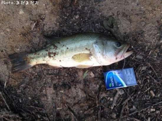 �֥�å��Х�